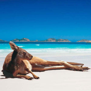 Liceu in Australia
