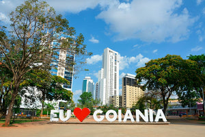 Semestru de liceu in Brazilia