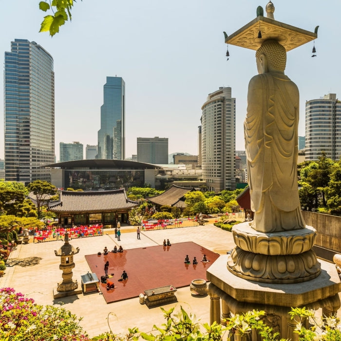An de liceu in Coreea de Sud - IEC Highschools