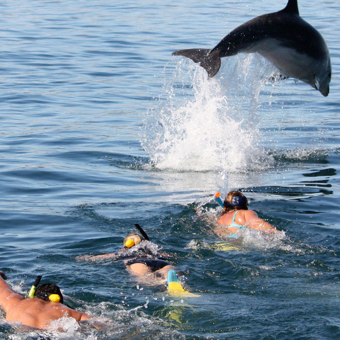 Semestru de liceu in Noua Zeelanda